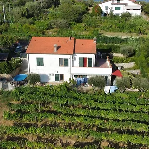 In Vino Veritas Arcola
